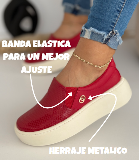 Nuevo Mocasin🩰Premium para dama.